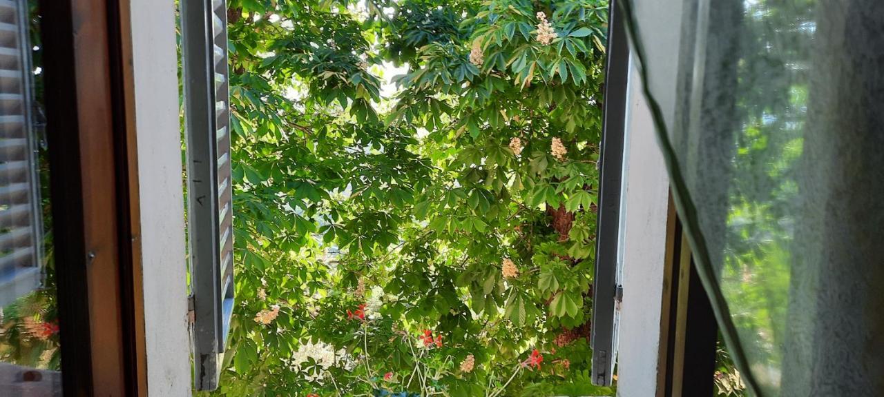 Agriturismo Villino Bellavista スポレート エクステリア 写真